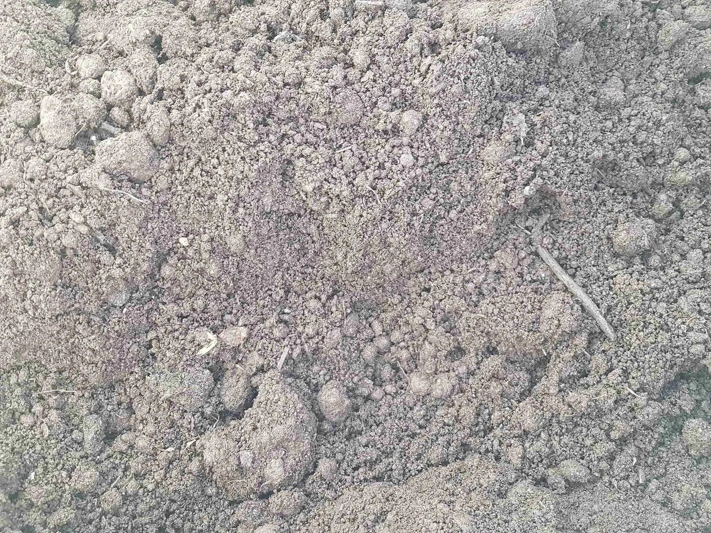 Грунт растительный