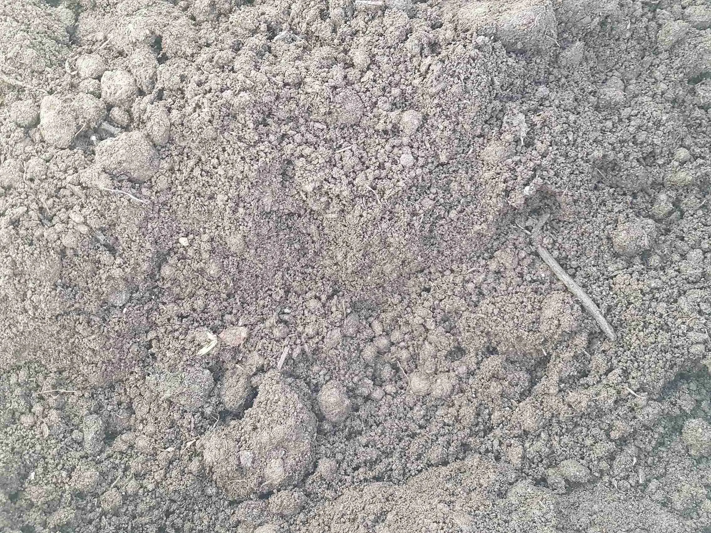 Грунт растительный с доставкой по Санкт-Петербургу и Ленинградской области