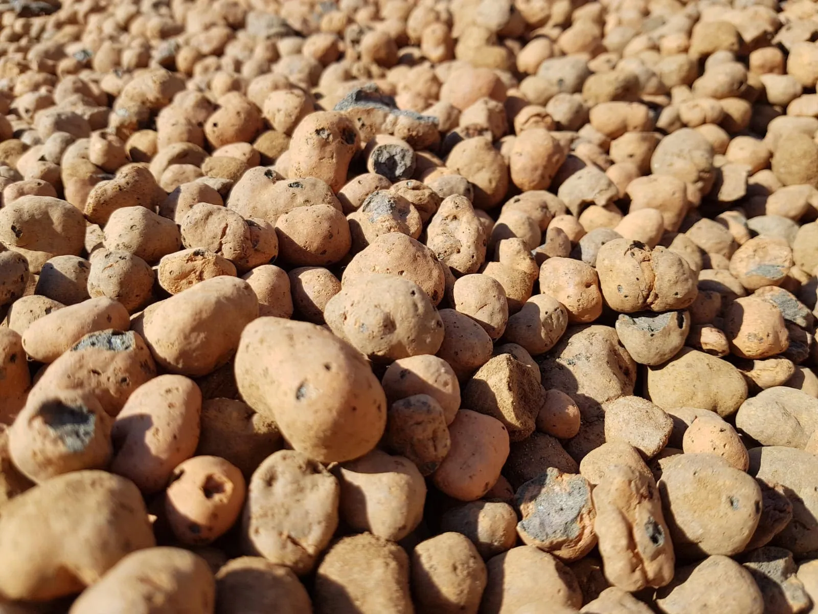 Керамзит фр 20 40  фото 2